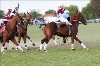 UKPA  NC Sat_1568